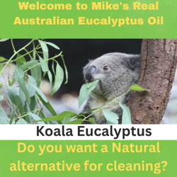 www.eucyshop.com.au